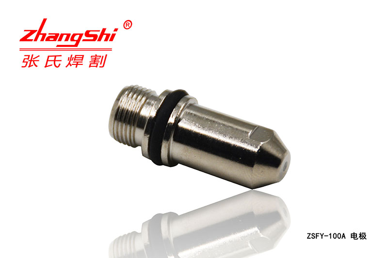 ZSFY-100A电极.jpg